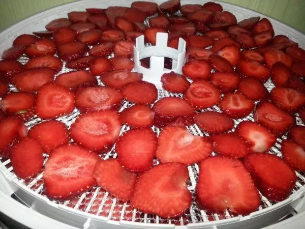 ezidri-strawberries-cut