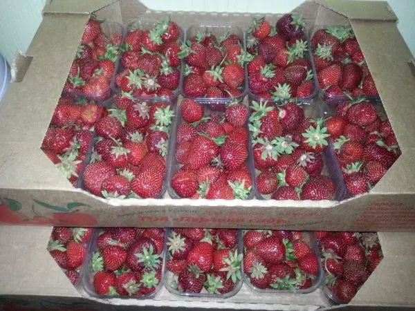 ezidri-strawberries