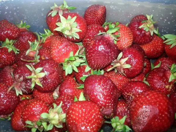 ezidri-strawberries-wash
