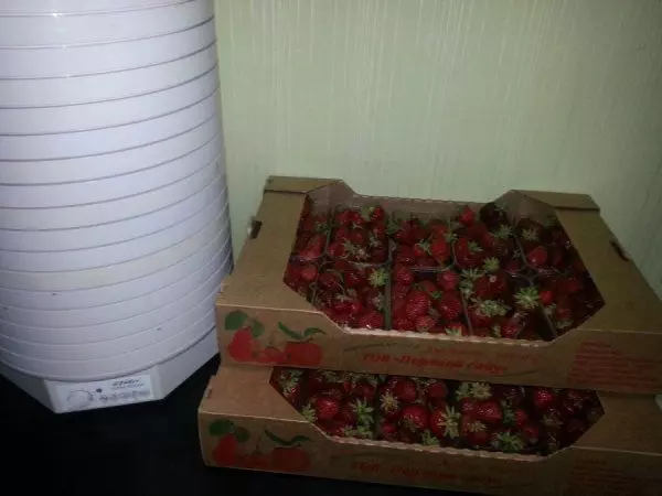 ezidri-strawberries-ultra-1000