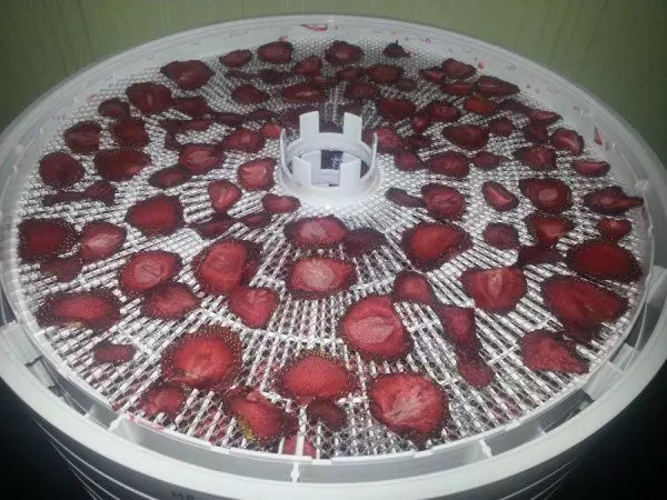 ezidri-dried-strawberries-14-hours_01