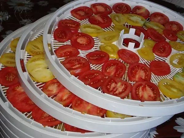 pomidory-pered-sushkoy-v-ezidri-ultra-1000-na-lotkah-web