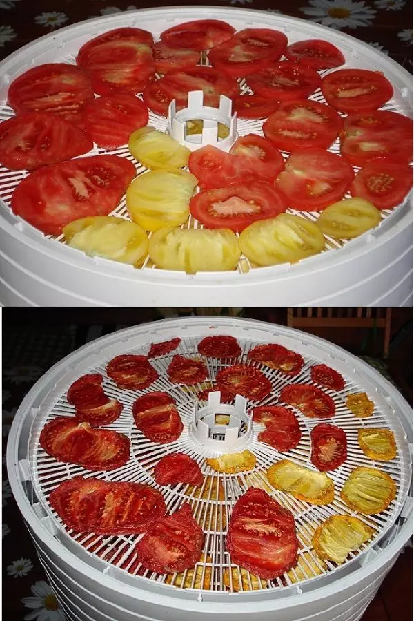 sushenye-pomidory-do-i-posle-ezidri-ultra-vert-web