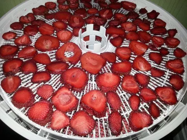 ezidri-strawberries-dried-4-hours_01